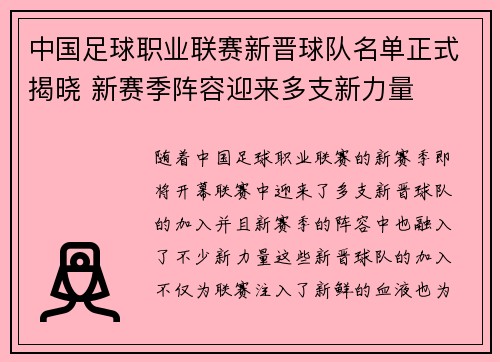 中国足球职业联赛新晋球队名单正式揭晓 新赛季阵容迎来多支新力量