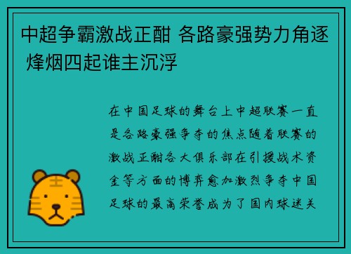 中超争霸激战正酣 各路豪强势力角逐 烽烟四起谁主沉浮